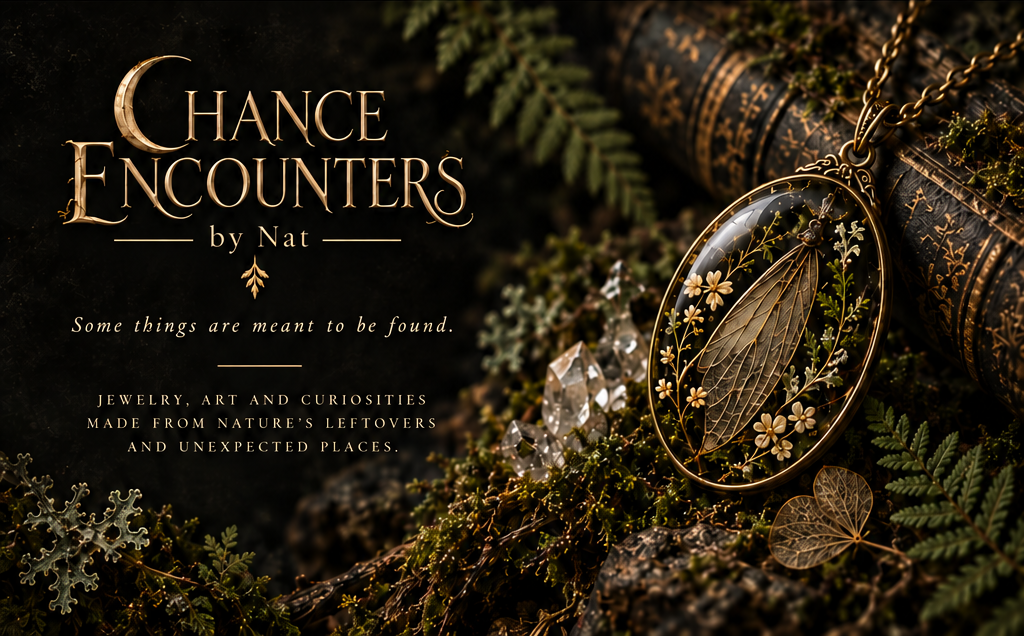 Concept for the Chance Encounters homepage: dark mossy natural-history setting with an illustrative resin pendant and the words Some things are meant to be found